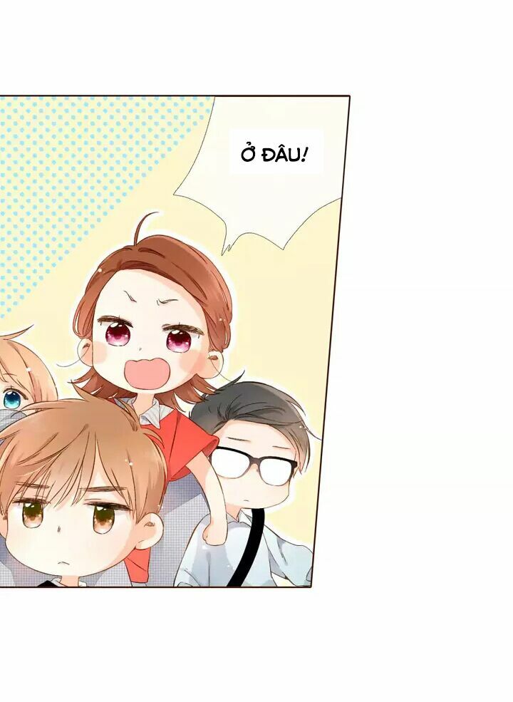 Tình yêu là màu hoa anh thảo chapter 30.1 43