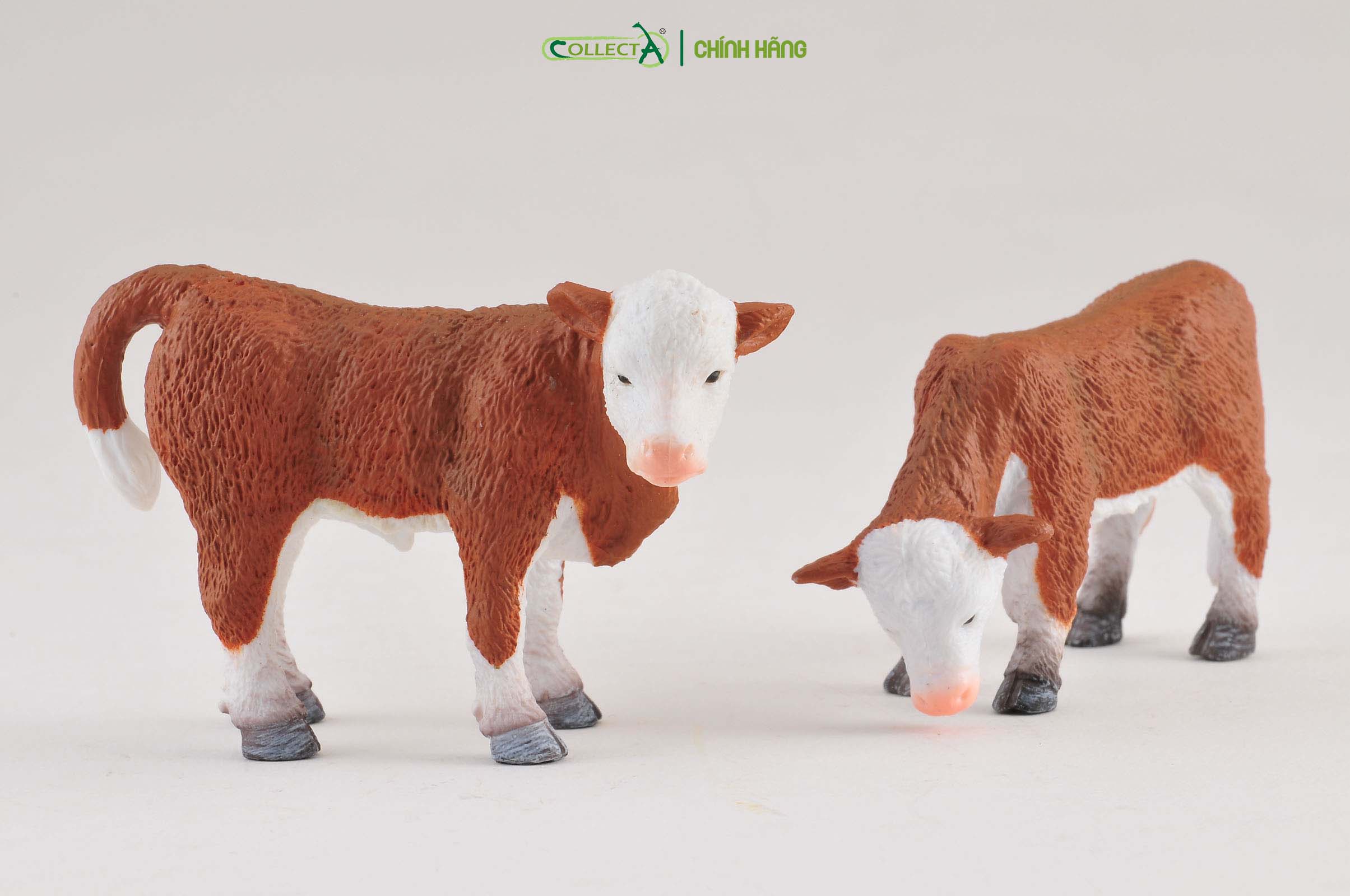 Mô hình thu nhỏ: Bò con Hereford - Gặm cỏ - Hereford Calf - Grazing, hiệu: CollectA, mã HS 9650191[88242] -  Chất liệu an toàn cho trẻ - Hàng chính hãng