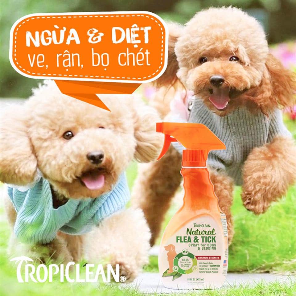 XỊT DIỆT VE, BỌ CHÉT TRÊN CHÓ VÀ Ổ CHÓ