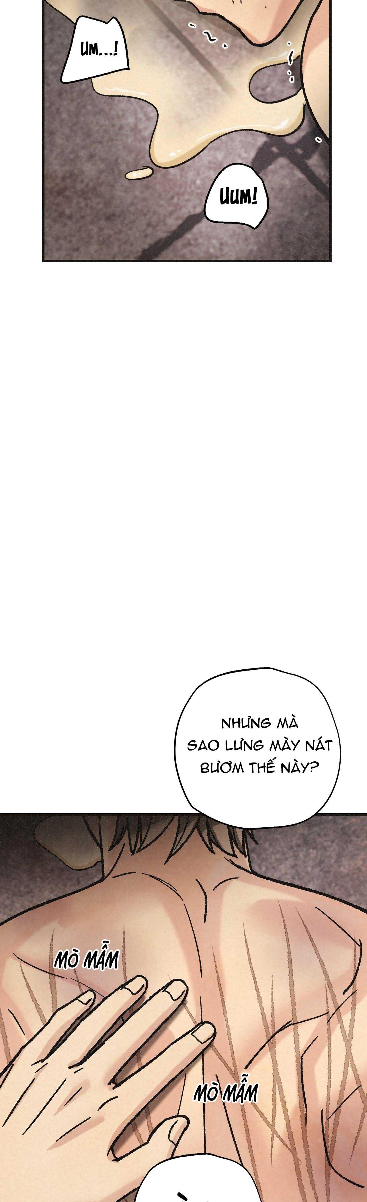 băng đảng samgeori chapter 32 38