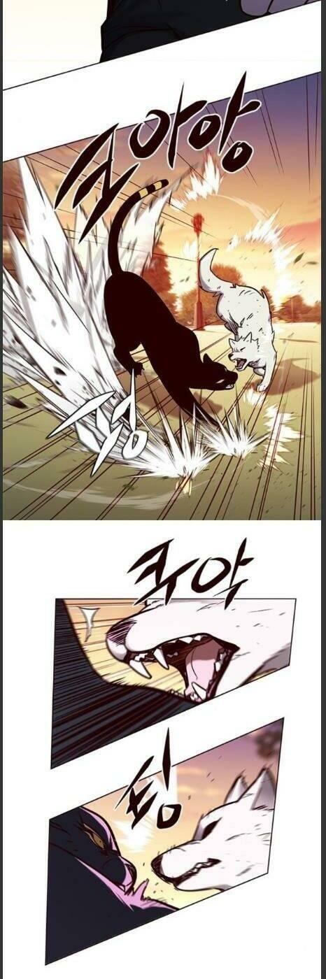 biến thân thành mèo chapter 161 30