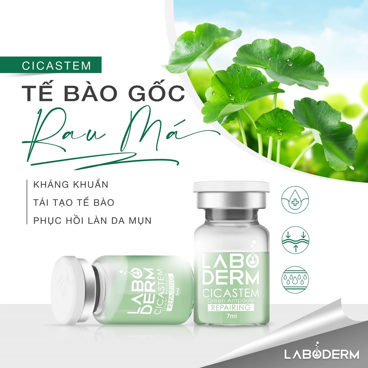 Tế Bào Gốc LABODERM Cicastemm Phục Hồi Da Tổn Thương (7mlx5)