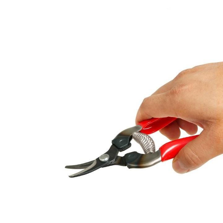 KÉO CẮT TỈA CÀNH NHẬT BẢN ARS 310 LƯỠI CONG