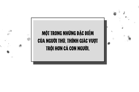 [18+] chuyện mèo trắng bị ba tước báo đen ăn thịt chapter 6.1 32