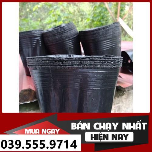 TÚI BẦU TRÒN ƯƠM CÂY 12X10 500G-TÁI SỬ DỤNG NHIỀU LÂN