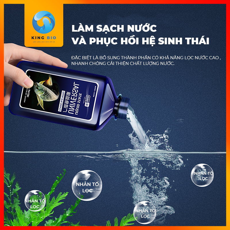 Yee Liquid State Universal chế phẩm sinh học phòng ngừa, trị bệnh nấm và các bệnh ngoài da cho cá