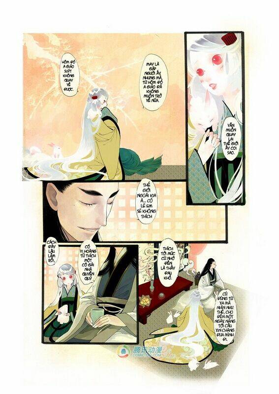 con thỏ cô đơn chapter 1 11