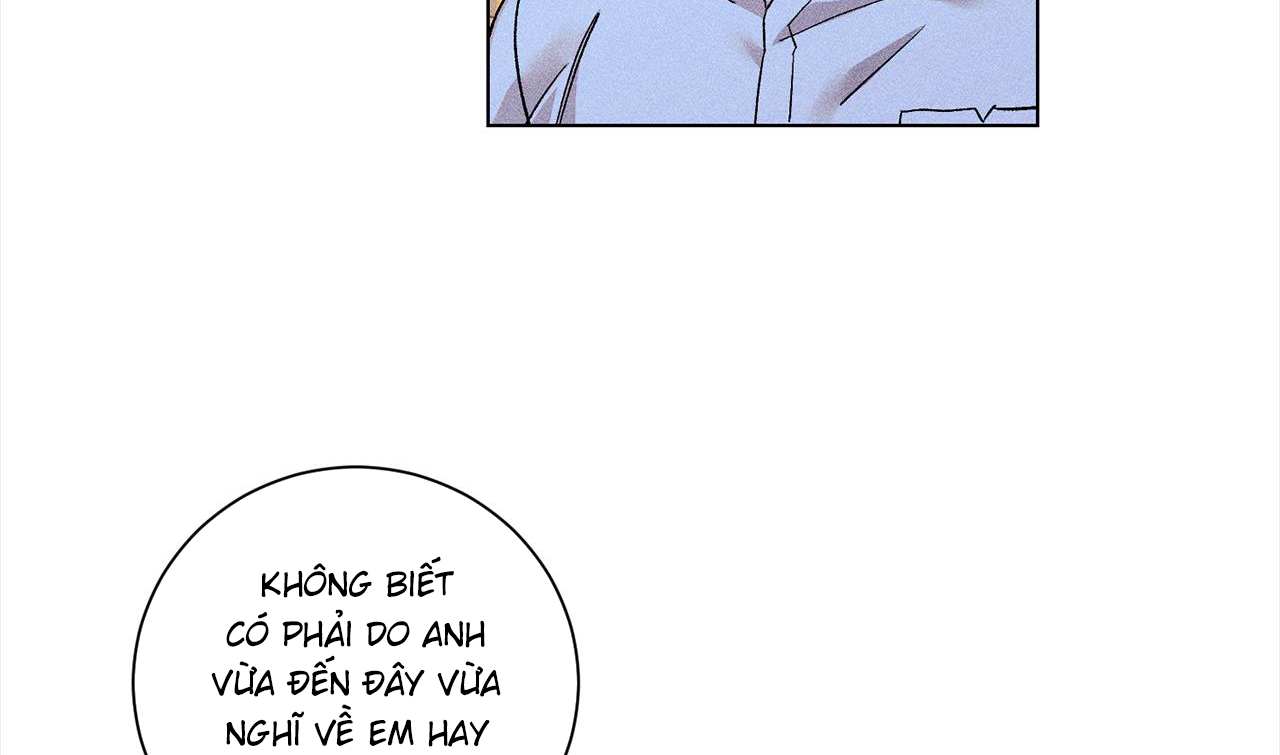 người yêu của anh chapter 16 85