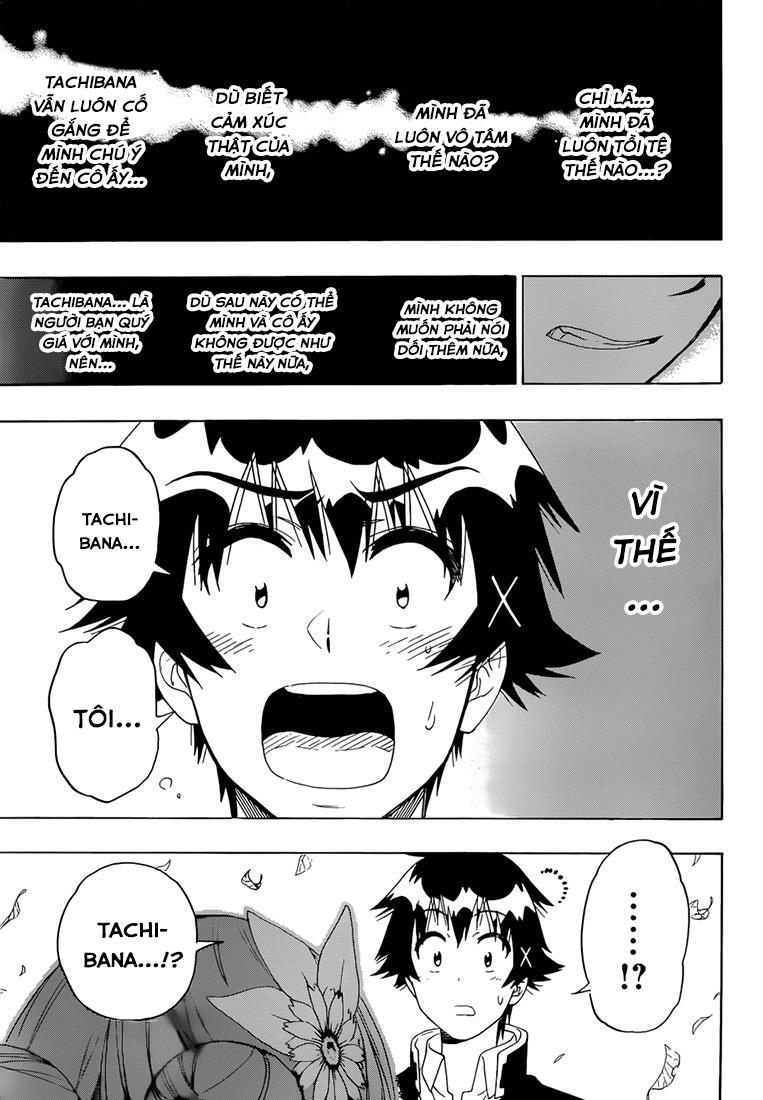 nisekoi - tình yêu giả tạo chapter 181 5