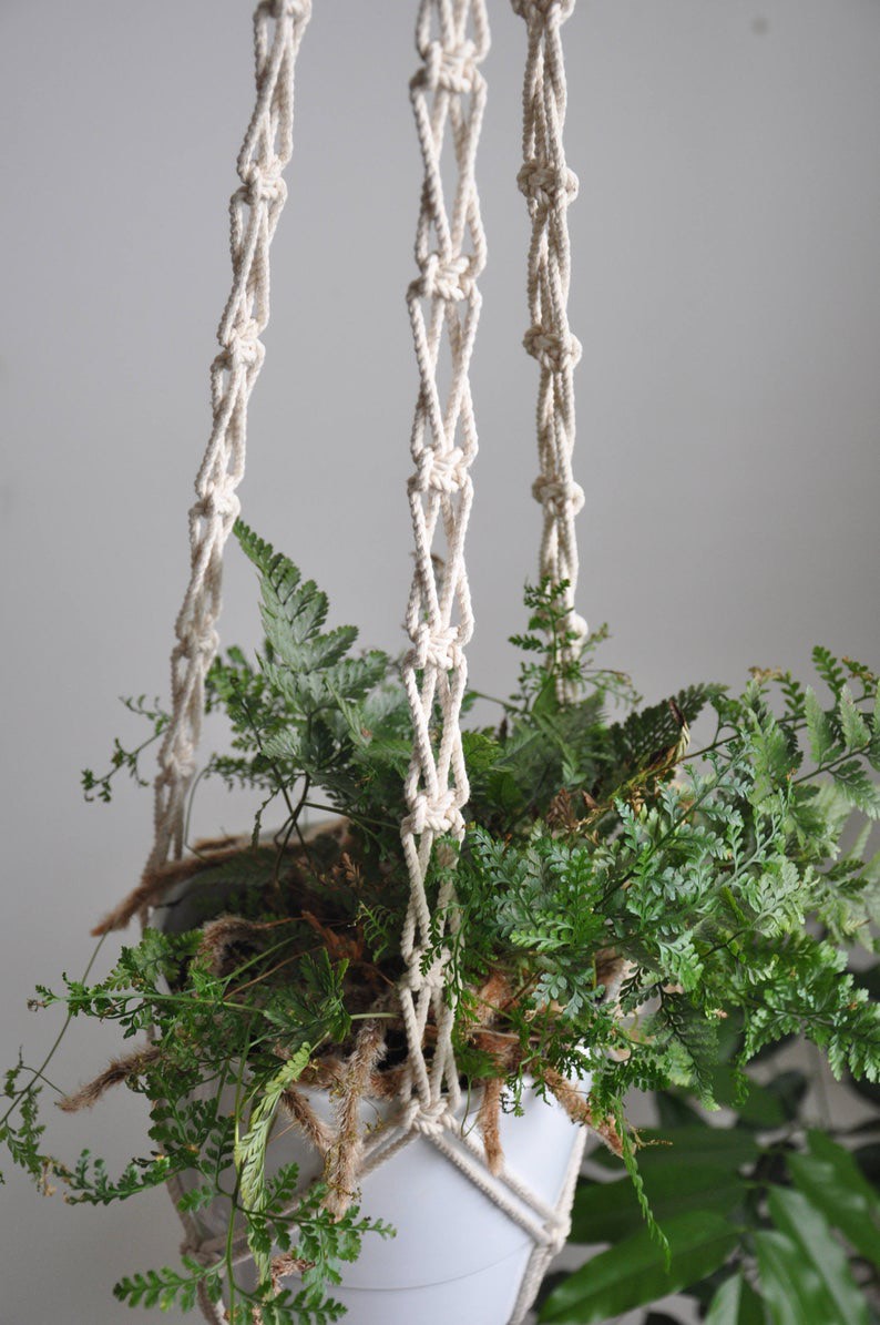 01 Dây tết thủ công Macrame treo tường trang trí chậu cây cảnh kết hợp vòng gỗ. DT270321