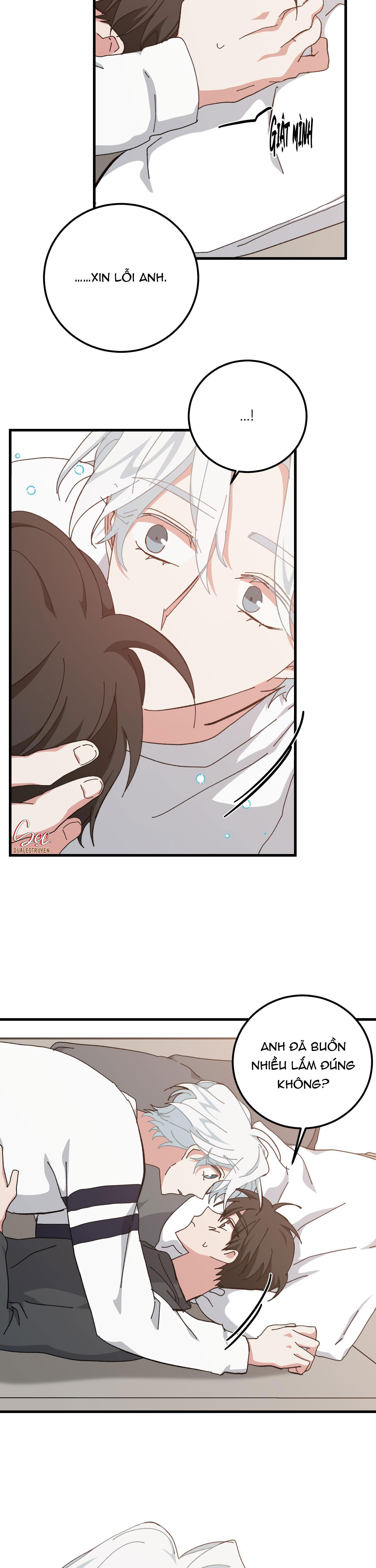 yêu tôi đi, thần hộ mệnh chapter 40 20