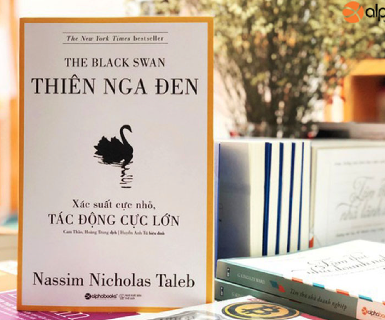 Thiên Nga Đen (Tái Bản 2020)