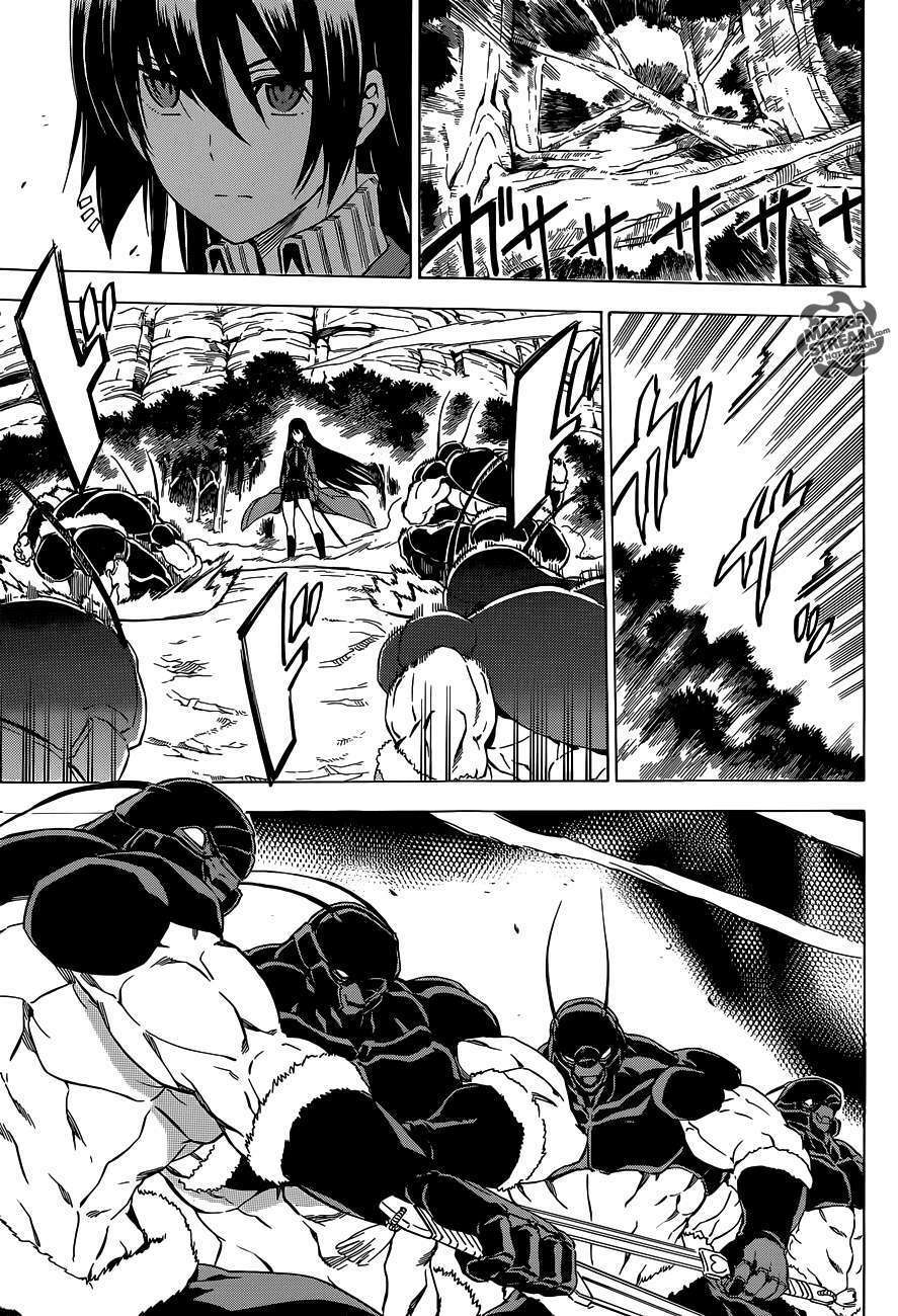 akame ga kiru! chapter 58.2 22