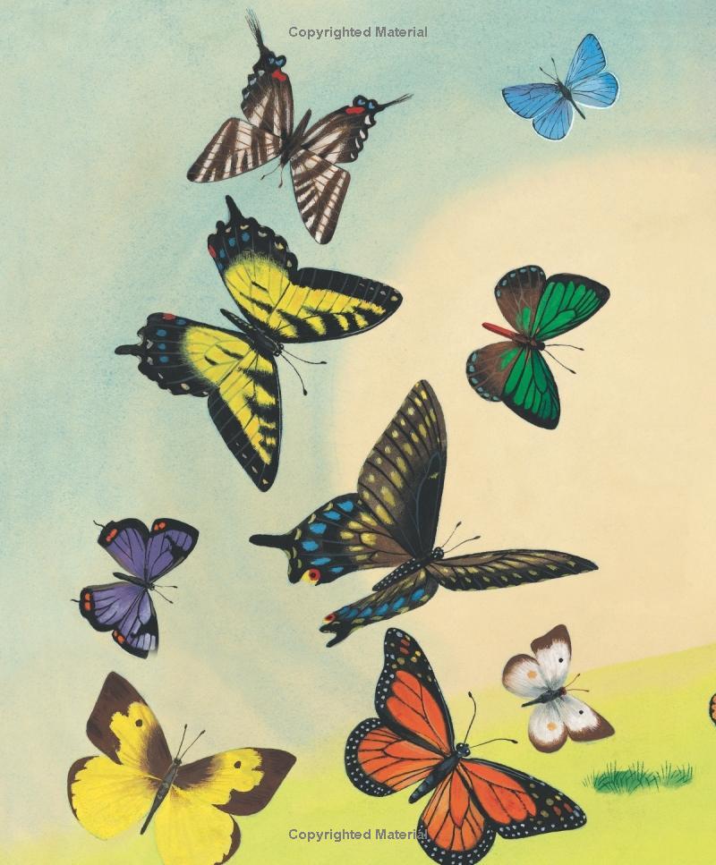 Sách ngoại văn: I Am A Bunny