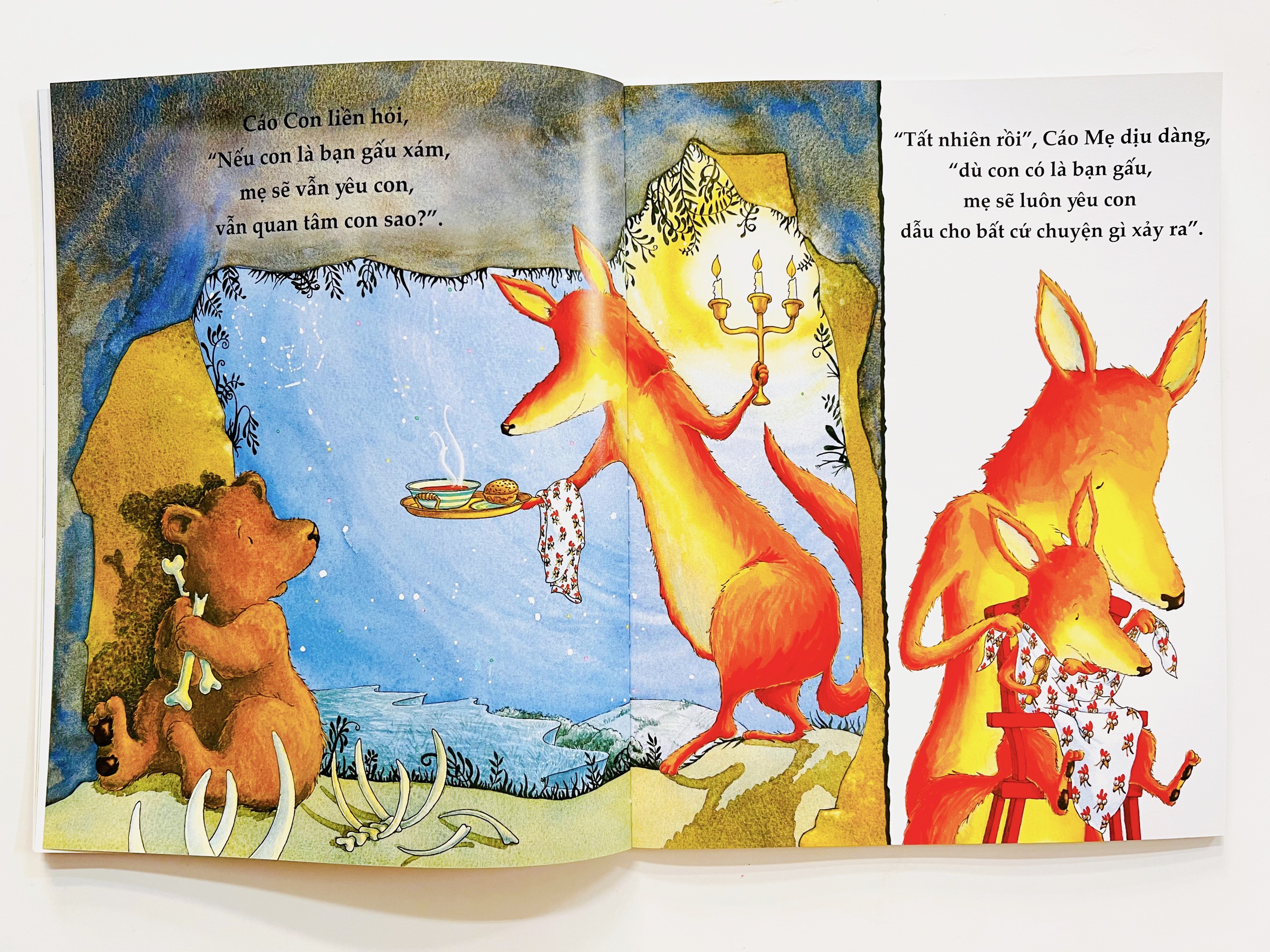 Picture book song ngữ - Dù sao đi nữa mẹ vẫn yêu con