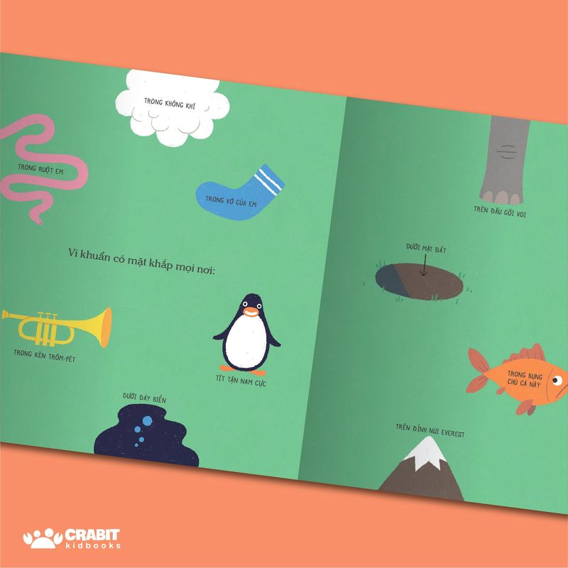 Này, chớ táy máy liếm sách - Crabit Kidbooks