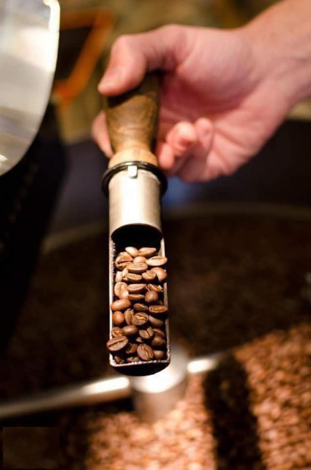 Cà Phê Ngovina - Arabica Cầu Đất - 1KG Dạng Bột
