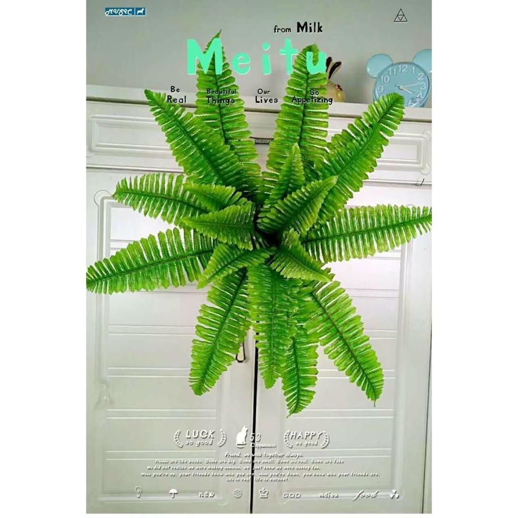 Cành lá dương sỉ điểm trang trí