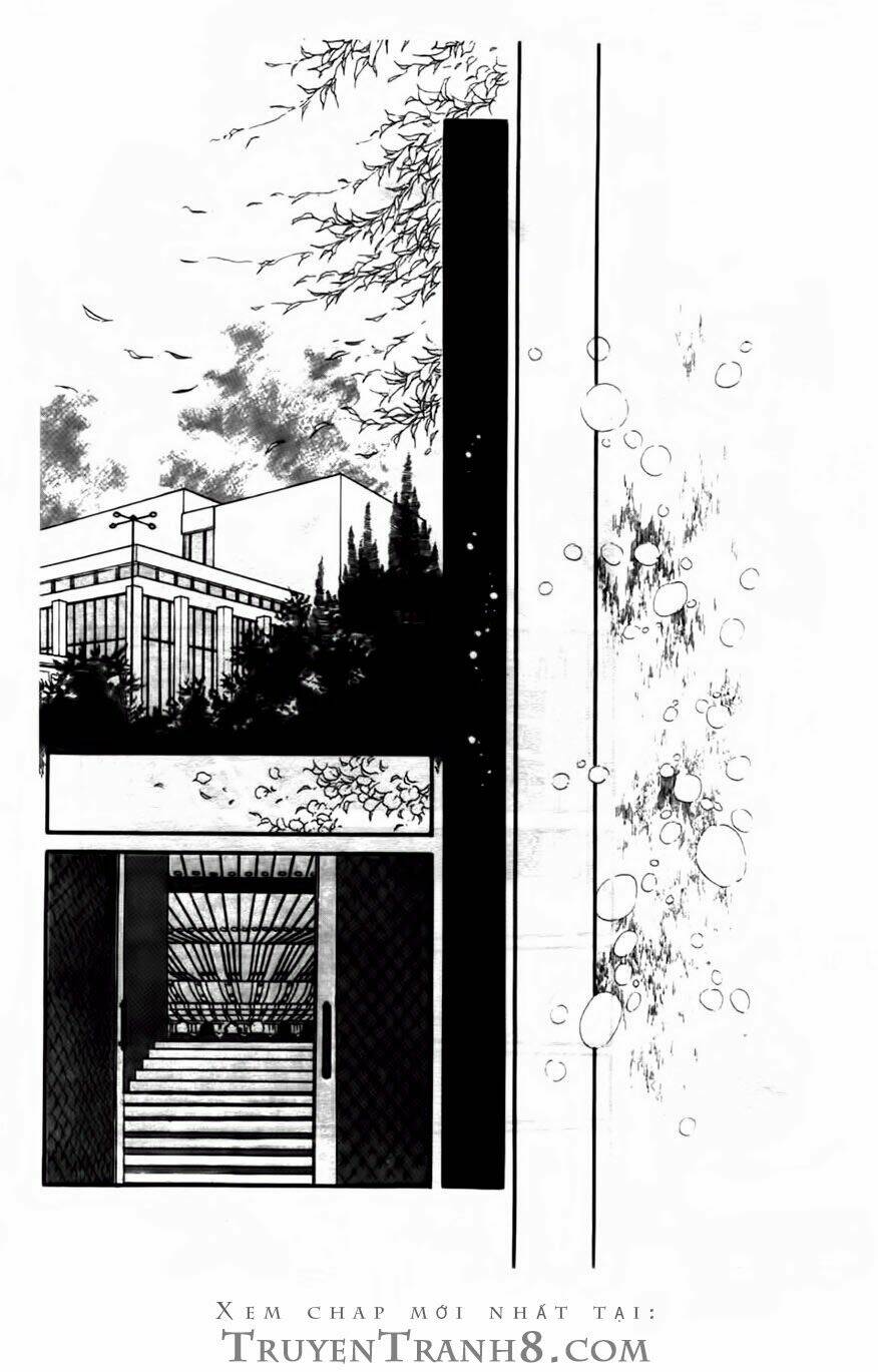 swan - vũ khúc thiên nga chapter 102 19