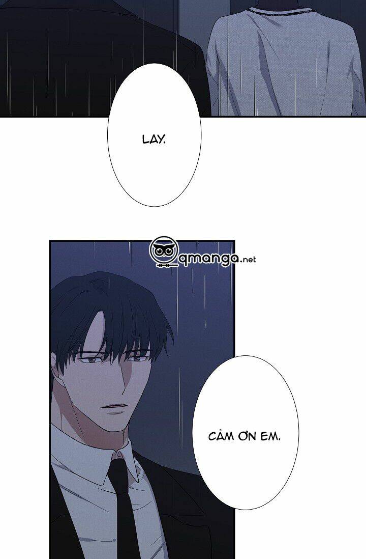 trốn tìm chapter 29 35