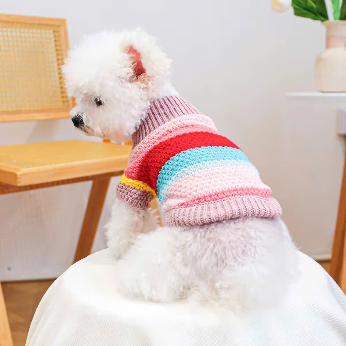 ÁO LEN SIÊU SANG TRỌNG TỪ 0.5-8KG DÀNH CHO THÚ CƯNG CHÓ MÈO