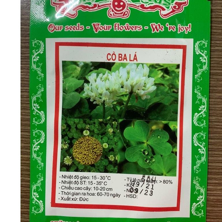 Hạt Giống Cỏ Đuôi Thỏ KNS3469 - Gói 100 hạt