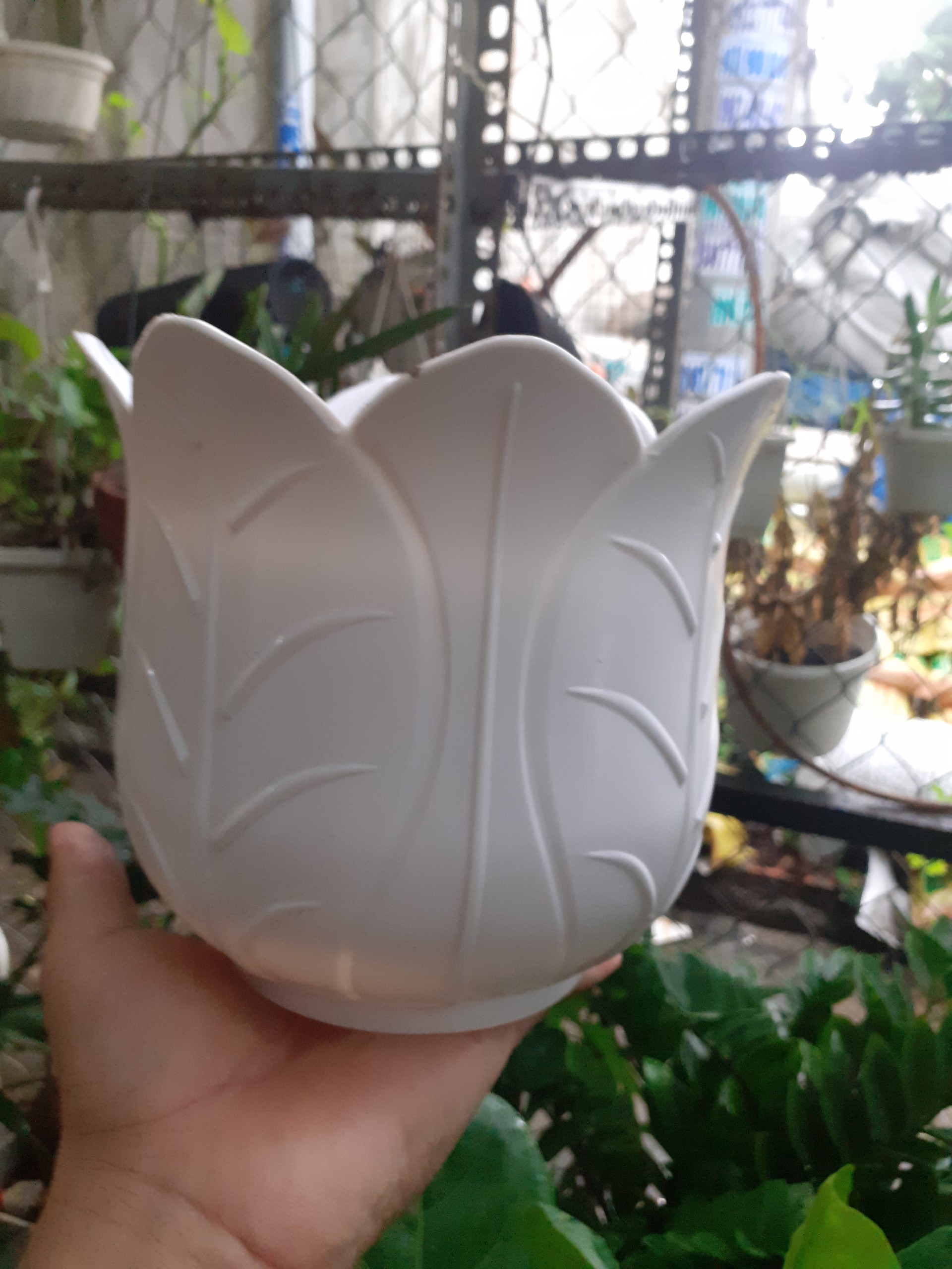 Chậu nhựa trồng cây hình bắp cải dễ thương.