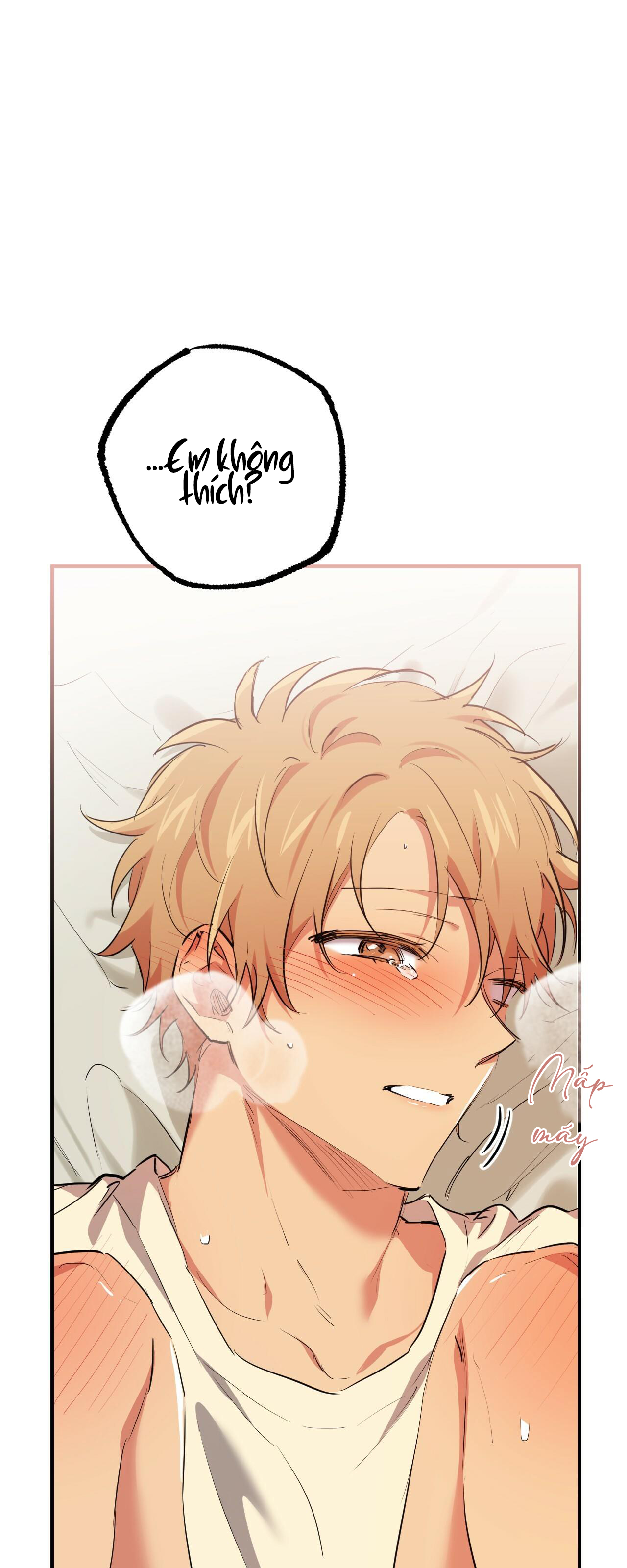 những chú thỏ của hapypy chapter 38 25