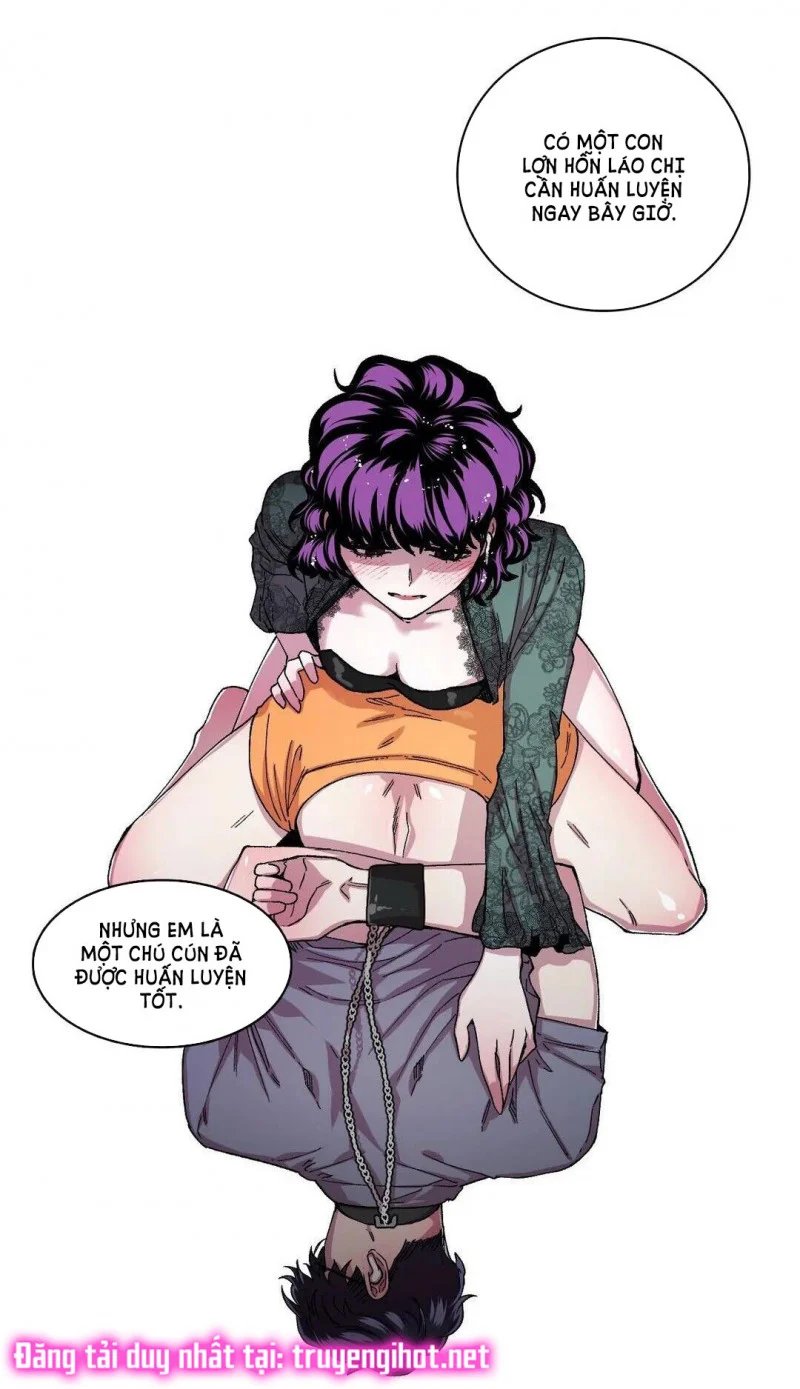 s flower chapter 51.5 29