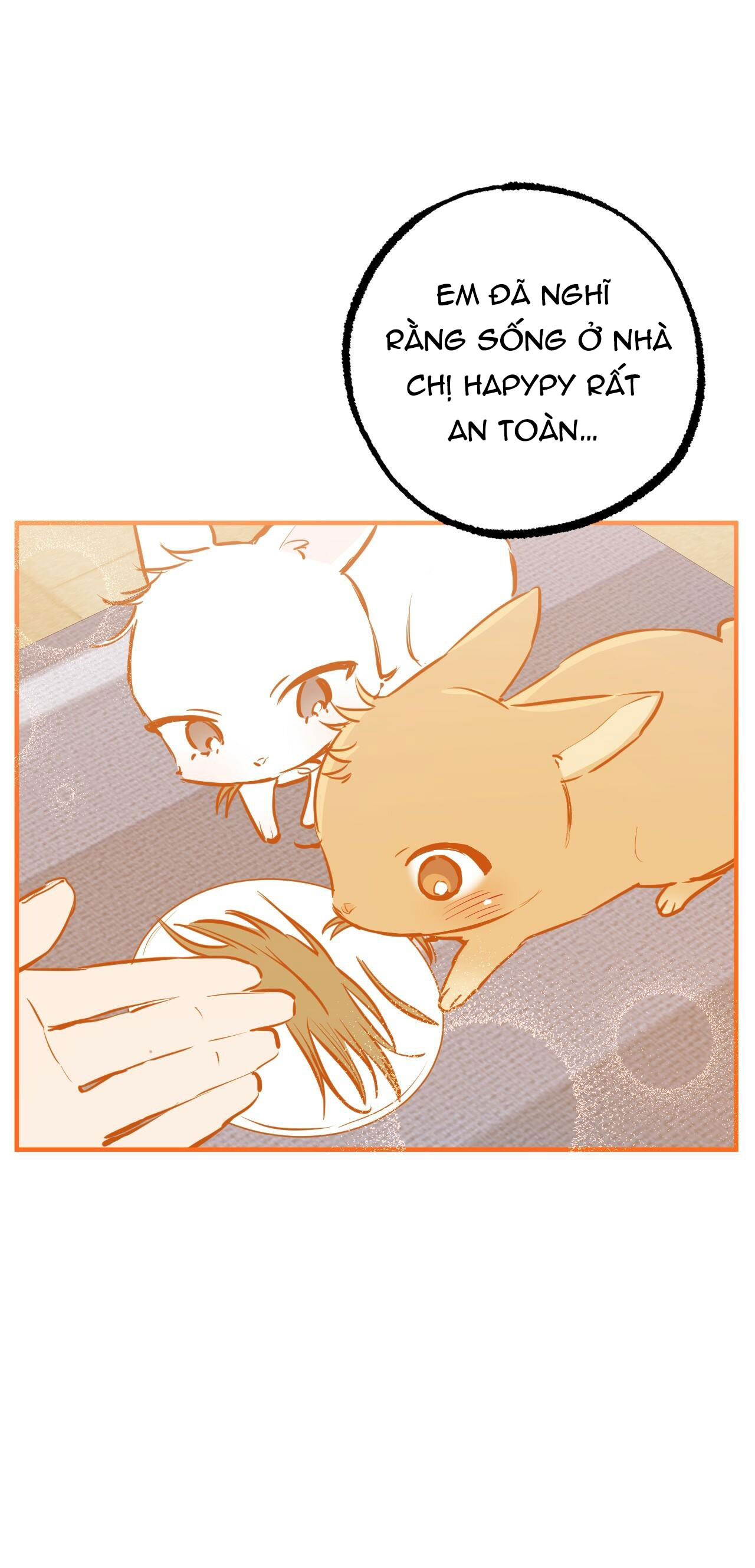 những chú thỏ của hapypy chapter 41 29