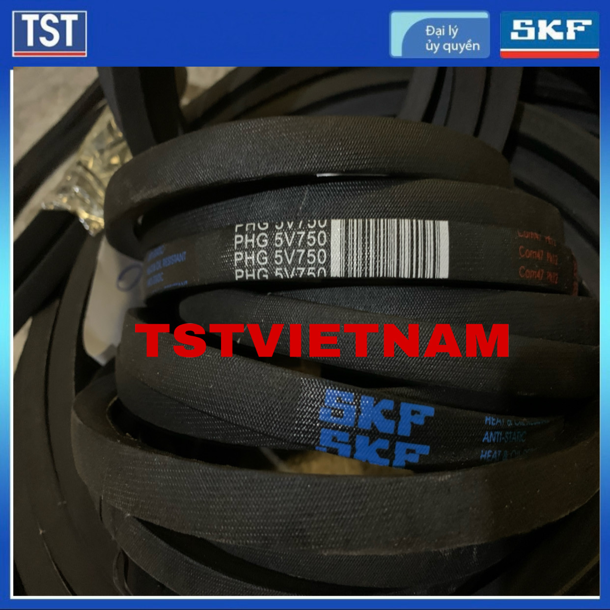 Dây đai SKF PHG 5V750 (Hàng chính hãng 100%)