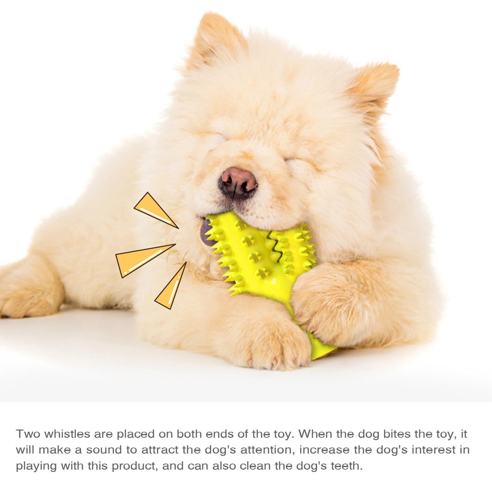 Đồ chơi cho thú cưng