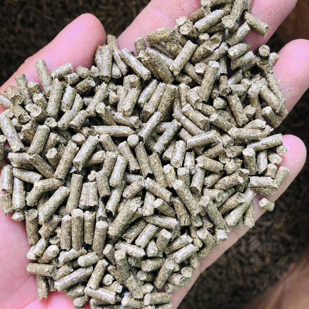 1kg cỏ nén Linh Lăng Alfalfa ép viên