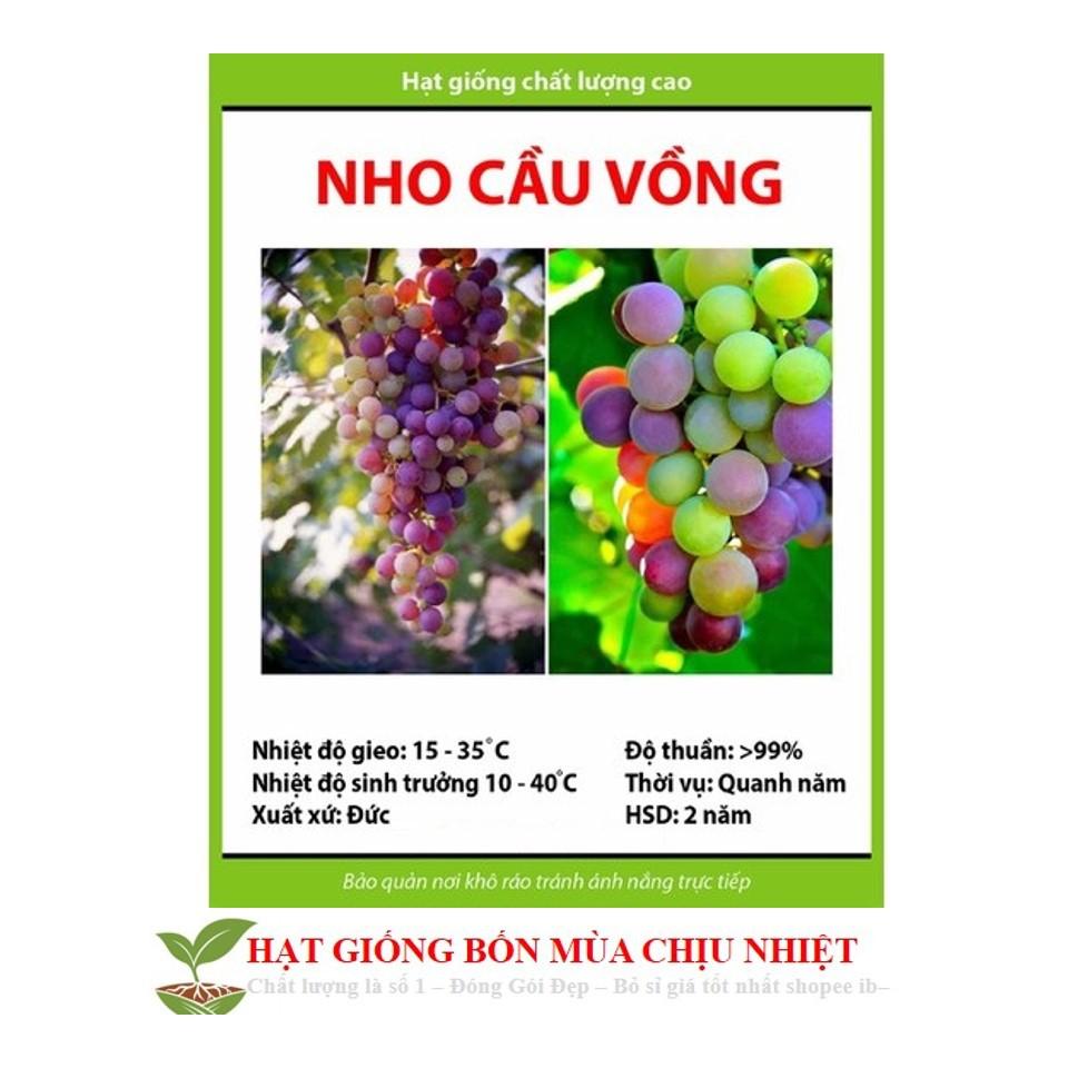 GÓI 10 HẠT GIỐNG NHO CẦU VỒNG