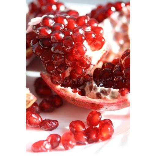 CÂY GIỐNG LỰU ĐỎ KHÔNG HẠT