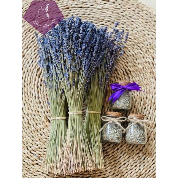 Hoa Oải Hương (Lavender)