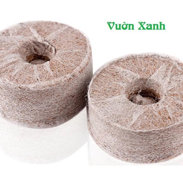Combo 10 viên nén xơ dừa ươm keiki, hạt giống