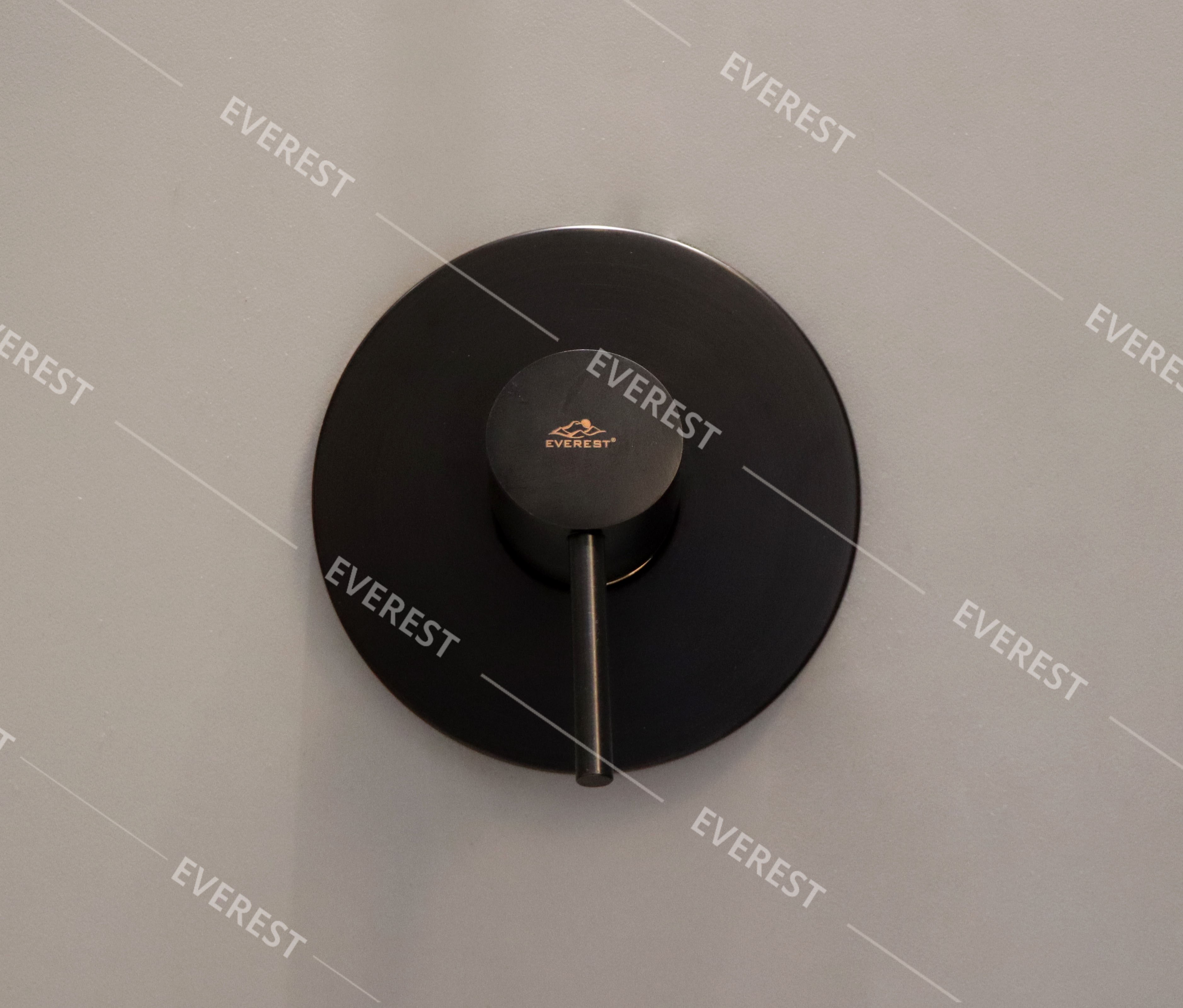 Sen tắm âm tường EVEREST EV-VĐ09