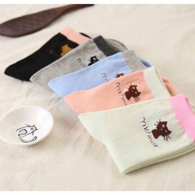 HỘP 5 ĐÔI TẤT MIU MIU CỔ NGẮN