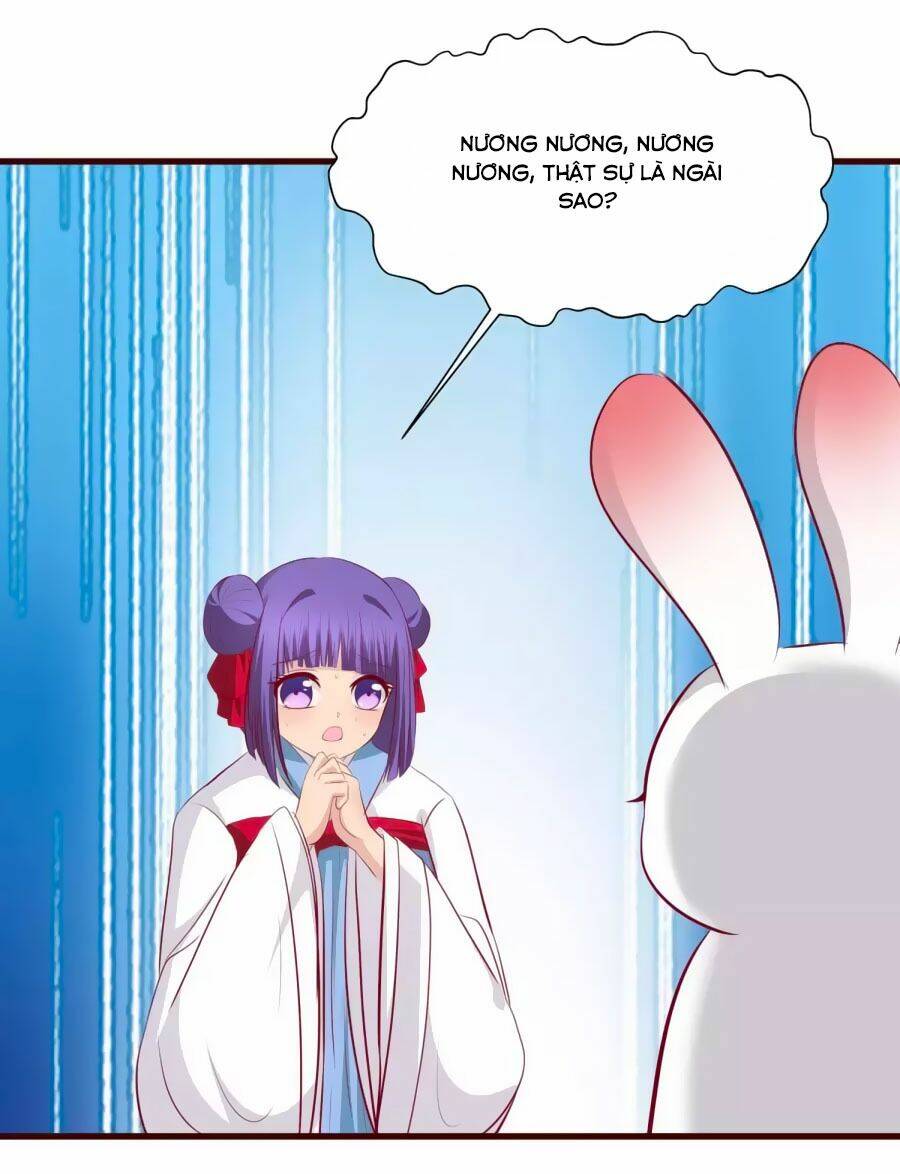 thỏ yêu tiểu vương phi chapter 31 26