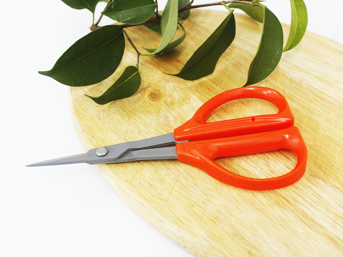 Kéo cắt nho cao cấp Nhật Bản Chikamasa B-300SF