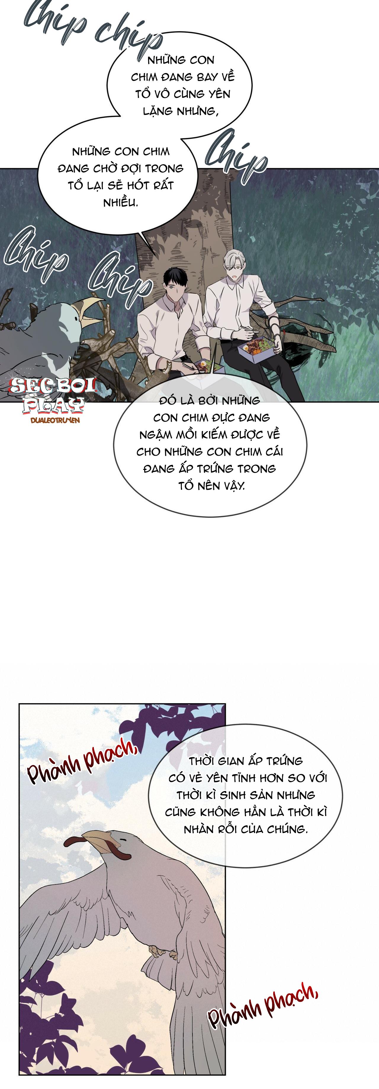 rừng biển [bl] chapter 16 24