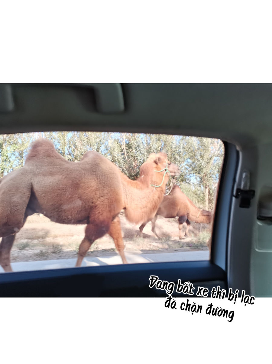 đừng nói yêu tôi chapter 64.1 4