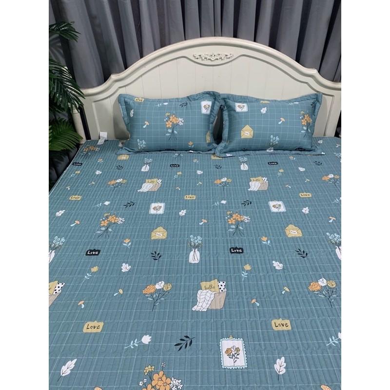 Ga chun trần bông 100% côttong đẹp kèm vỏ gối trần