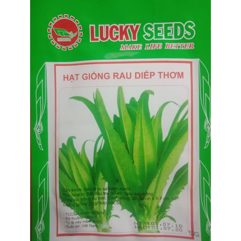 Hạt giống rau diếp thơm - 5 gr/gói