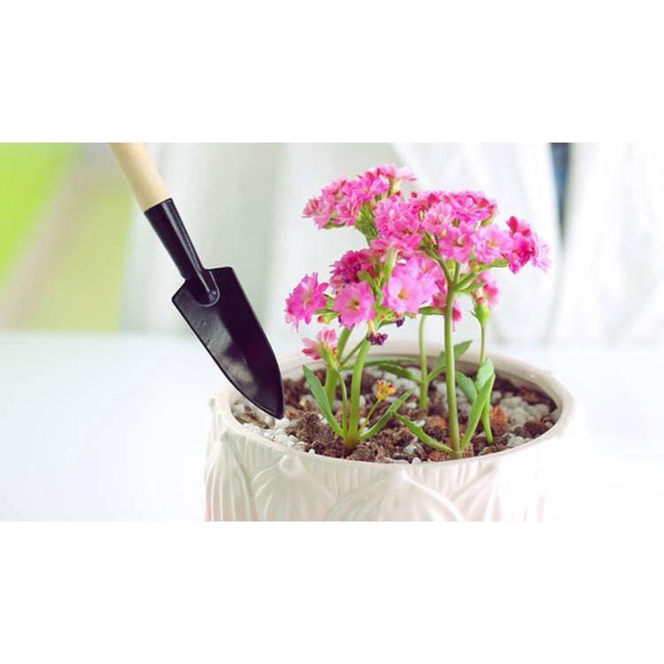 Bộ dụng cụ làm vườn mini 3 món xẻng quốc cào tiện dụng