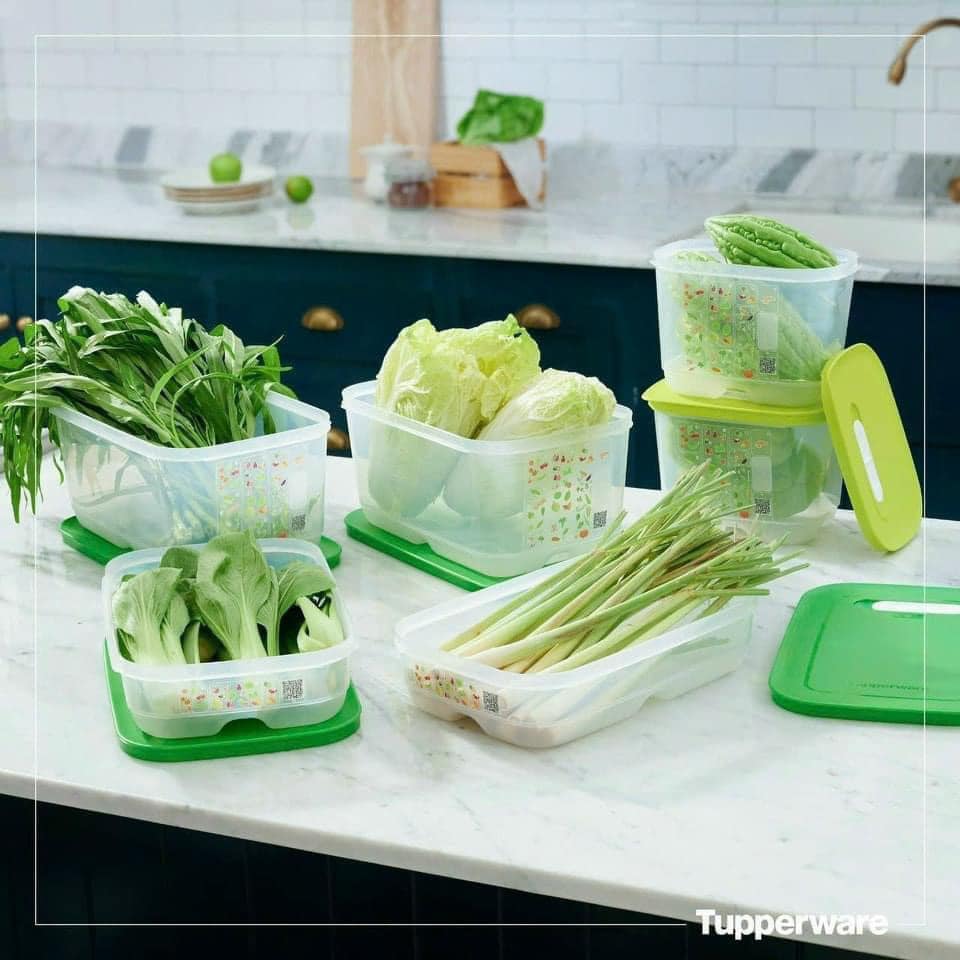 Bộ Hộp Tupperware Trữ Mát Có Nút Hô Hấp Ventsmart 6 Hộp - Nữ Hoàng Trữ Mát - Tươi Đến 3 Tuần