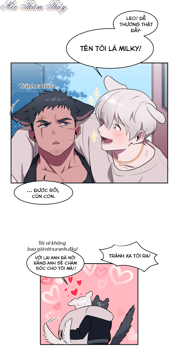 tình đầu chapter 1 28