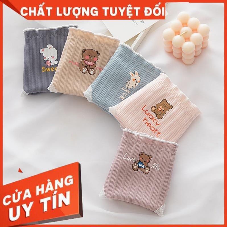 Quần Lót Nữ ️ Quần Cotton Nữ Phối Viền Họa Tiết Hình Thỏ và Gấu 485