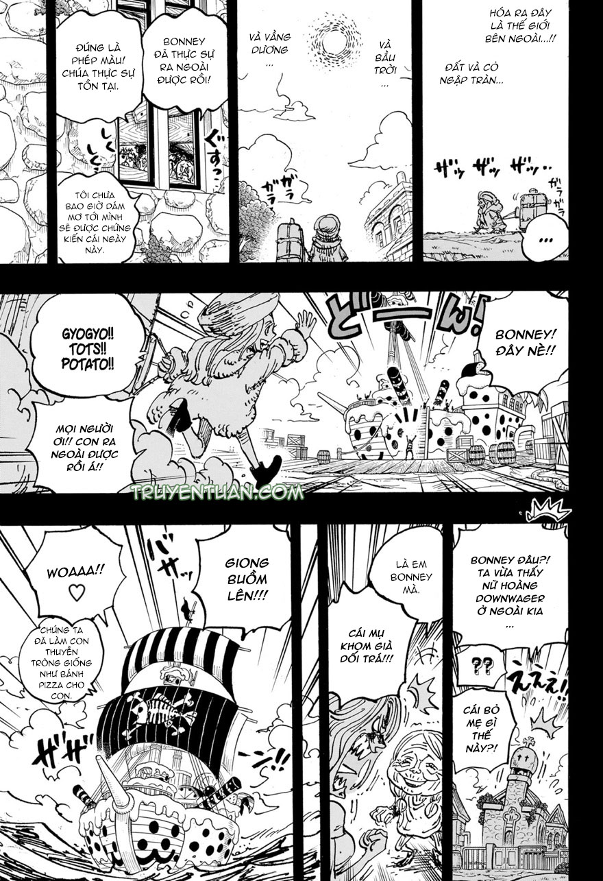 đảo hải tặc - one piece chapter 1101 16